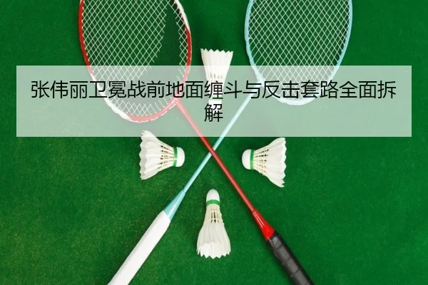 张伟丽卫冕战前地面缠斗与反击套路全面拆解